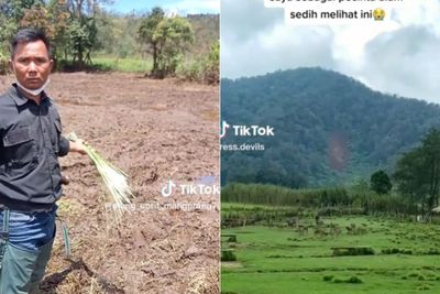Viral Petani Marah Kebun Edelweiss di Ranca Upas Hancur Gara-gara Dipakai Balap Trail
