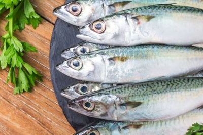1 Juta Ekor Benih Ikan Disebar di Garut, Hayu Para Wargi Sing Resep Tuang Lauk!