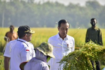 Panen Padi Didampingi Mentan SYL, Presiden Jokowi Senang Produktivitas Tinggi