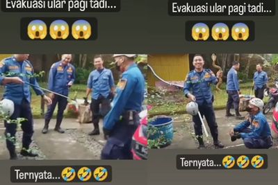 Momen Ngakak Petugas Damkar Evakuasi Ular di Rumah Warga, Sudah Fokus Ternyata Cuma Mainan