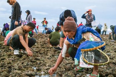 5 Tradisi Unik di Indonesia, Dari Mekare-kare Hingga Bau Nyale