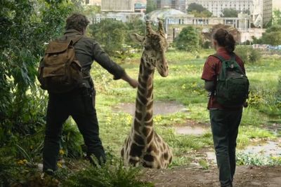 Jerapah di Episode Terakhir Serial The Last of Us Bukan CGI, Namanya Nabo