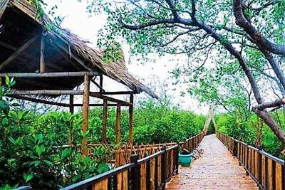 Ekowisata Mangrove Surabaya, Area Hijau di Tengah Padatnya Kota