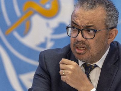 WHO: Wabah Demam Berdarah di Bangladesh Terburuk Dalam Sejarah