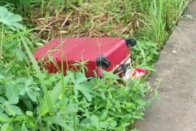 Kasus Mayat Dalam Koper Merah, Kaki Kanan Korban Ditemukan Sedang Dimakan Biawak