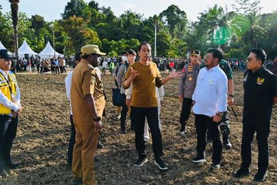 Presiden Jokowi di Papua, Kick Off Food Estate Siapkan Lahan Jagung 10 Ribu Hektare