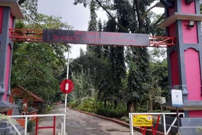 Sepanjang Pandemi Jadi Belantara, Hutan Wisata Tinjomoyo Kini Dilirik Lagi