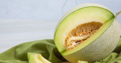 3 Kreasi Resep Es Sirup Melon, Buka Puasa Pertama Makin Segar