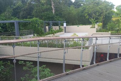 Rifle Range Nature Park, Wisata Alami yang Langsung Berhubungan sama Bukit Timah Singapura