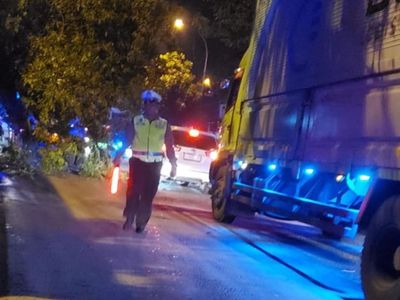 Aksi Heroik Kasatlantas Polres Sidrap Evakuasi Pria yang Tertimpa Pohon di Barru