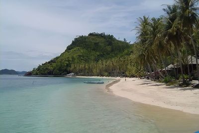 Menjadi Bagian Raja Ampat nya Sumbar, Pulau Ini Menyimpan Keindahan Bawah Laut