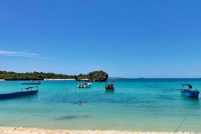 Intip Pesona Indah Pantai Oeseli, Berlokasi di Wilayah Terselatan Indonesia