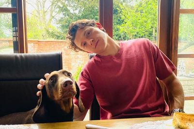 The Real Superhero! Tom Holland Bagi-bagi Pakaian untuk Yayasan Kanker