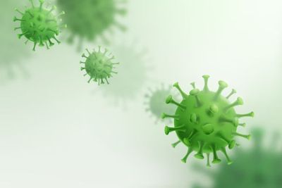 Virus Marburg Tewaskan 27 Jiwa di Afrika, Akankah Menyebar ke Indonesia?
