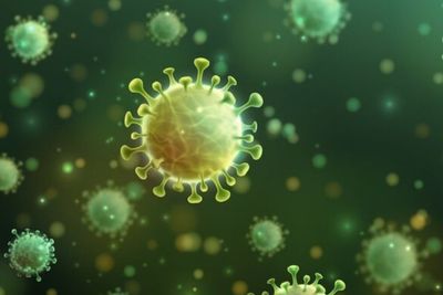 Tewaskan 27 Orang di Afrika, Kemenkes Minta Masyarakat Waspada Terhadap Virus Marburg