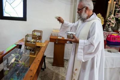 Bukan Cuma Manusia, Ada Pemberkatan Hewan Peliharaan di Gereja Spanyol