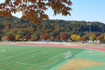Merasakan Kuliah di Seoul National University (SNU), Kampus Terbaik di Korea Selatan!
