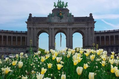 Musim Semi di Parc du Cinquantenaire: Penuh dengan Bunga Tulip di Pust Kota Brussels