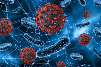Virus Omicron Baru Varian Arcturus Terdeteksi di Singapura dan Brunei, Jakarta Aman?