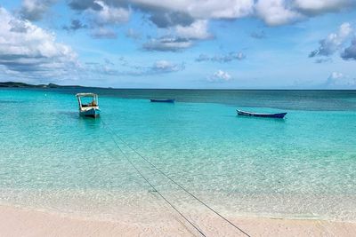 Pantai Loedik, Pilihan Wisata yang Cocok saat Berlibur ke Nusa Tenggara Timur
