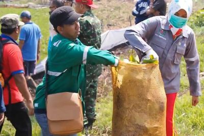 Bersih-bersih Waduk Cirata Bareng Pak Tentara, Berkarung-karung Eceng Gondok Dibuang