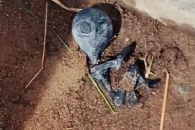 Geger Temuan Mayat Misterius Sekecil Jenglot di Bolivia, Diyakini Bangkai Alien!