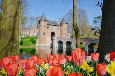 Cantiknya Floralia, Festival Bunga Tahunan di Kastil Grand Bigard