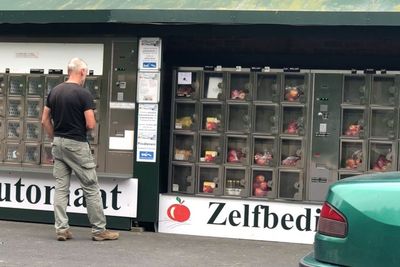 Beda dari yang Lain, Petani di Belanda Jual Hasil Panennya Pakai Vending Machine