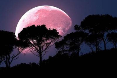 Fenomena Langit Bulan April: Ada Pink Moon hingga Hujan Meteor Lyrids