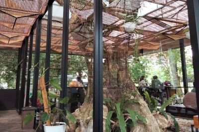 Zomia Co-Working Space, Kafenya Mahasiswa Kehutanan UGM, Tempat Rindang Kerjain Tugas
