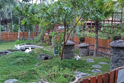 Kampung Flory: Rumah Makan Pedesaan Terdapat Hewan dan Taman yang Luas