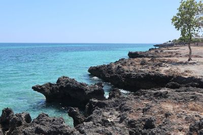 Melihat Indahnya Pantai Kelapa Satu di Kupang NTT, Jajaran Batuan Karang Nan Eksotik