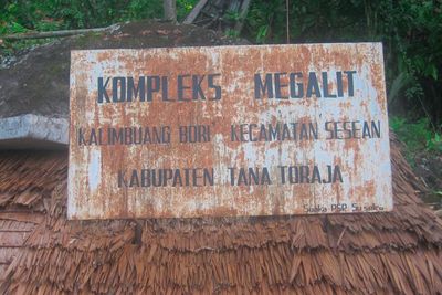Misteri Kompleks Megalit Kalimbuang Bori di Tengah Hutan Kabupaten Tana Toraja