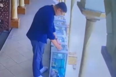 Viral Pria Ganti Barcode QRIS Kotak Amal Masjid di Jakarta Selatan, Aksinya Terekam CCTV