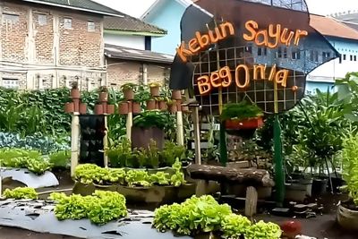 Kebun Begonia Lembang, Spot Instagramable yang Punya Program Edukasi Ramah Anak