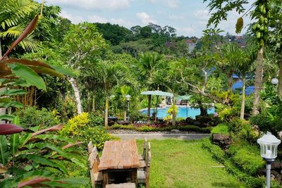 Villa Capung Mas di Ubud, Menikmati Sensasi Menginap di Tengah Sawah yang Menyejukkan