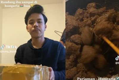 Gak Bisa Mudik Lebaran, Pria Ini Terharu Terima Paket Makanan: Rendang Ibu Sampai Hungaria