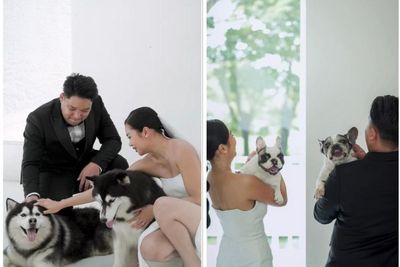Calon Pengantin Ini Prewedding dengan Puluhan Anjing, Bagaimana Hasilnya?