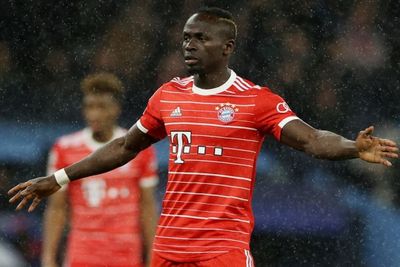 Seperti Sane-Mane, Pemain Klub Liga Inggris Ini Juga Pernah Adu Jotos di Tengah Lapangan