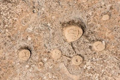 Simbol Misterius Ditemukan di Gurun Qatar, Terukir di Atas Batu Bikin Arkeolog Bingung