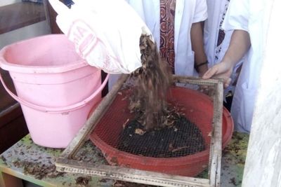 Isi Kegiatan Bermanfaat Selama Bulan Puasa dengan Membuat Pupuk Kompos