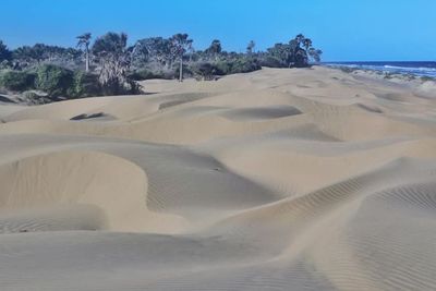 Gak Perlu Jauh-jauh ke Timur Tengah, NTT Juga Punya Padang Gurun di Tepi Pantai