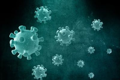 5 Kasus Varian Arcturus Terdeteksi di DKI Jakarta, Pasien Alami Gejala Pneumonia