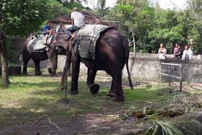 Taman Gembira Loka, Destinasi Wisata Bersama Keluarga yang Paling Hits di Yogyakarta