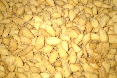 Resep Biji Ketapang Crispy, Cocok Buat Isian Toples Lebaran