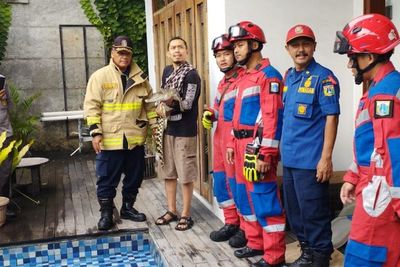 Geger Buaya Lepas, Ditemukan Berenang di Kolam Renang di Jaksel
