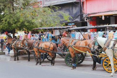 Melirik Malioboro, Destinasi Wisata yang Pas saat Berkunjung di Yogyakarta saat Lebaran