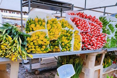 Pasar Bunga Roermond, Tempat Terbaik Membeli Buket Bunga Segar di Belanda