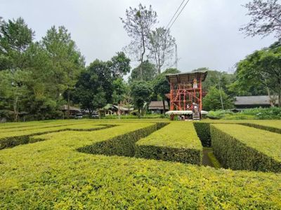 Serunya Mencari Jalan Keluar di Taman Labirin Coban Rondo Batu Malang