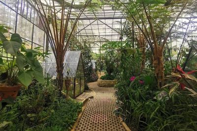 Daya Tarik Orchid Forest Cikole, Taman Wisata yang Menawarkan Keindahan Bunga Eksotis